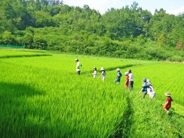 微信图片_20210823094112.jpg